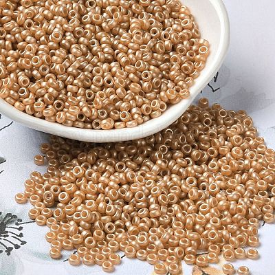 Baking Paint Glass Seed Beads&nbsp;SEED-P006-03A-24-1