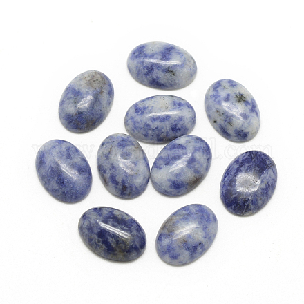 Natural Blue Spot Jasper Cabochons&nbsp;G-R415-13x18-45-1