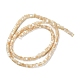 Natural Trochus Shell Beads Strands&nbsp;BSHE-E030-09B-02-2