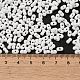 Baking Paint Glass Seed Beads&nbsp;SEED-K009-01A-25-4