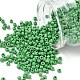 8/0 Glass Seed Beads&nbsp;X1-SEED-A010-3mm-47-1