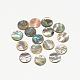 Paua Shell Charms&nbsp;SSHEL-R041-37-1