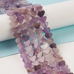 Natural Amethyst Beads Strands&nbsp;G-M403-A13