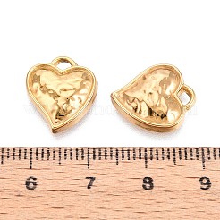 304 Stainless Steel Pendants&nbsp;STAS-T065-25G