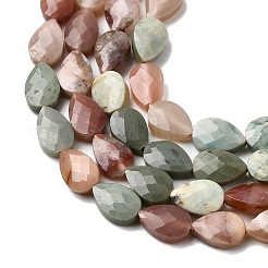 Natural Alashan Agate Beads Strands&nbsp;G-B159-A10