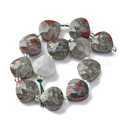 Natural Dragon Blood Beads Strands&nbsp;G-P570-E05-02