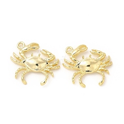 Rack Plating Alloy Pendants&nbsp;FIND-G044-18LG