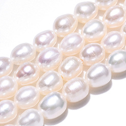 Natural Cultured Freshwater Pearl Beads Strands&nbsp;PEAR-N012-05L