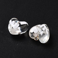 Transparent Resin Enamel Pendants&nbsp;RESI-D076-01D