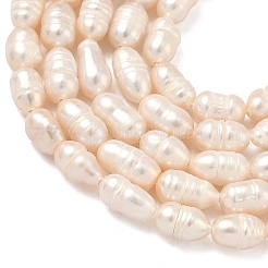 Natural Cultured Freshwater Pearl Beads Strands&nbsp;PEAR-D003-01D-16