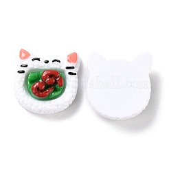 Resin Cabochons&nbsp;CRES-P020-03A