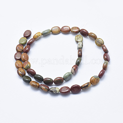 Natural Polychrome Jasper/Picasso Stone/Picasso Jasper Beads Strands&nbsp;G-E444-46B