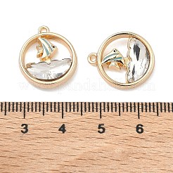 Alloy Glass Pendants&nbsp;FIND-B061-05G-B