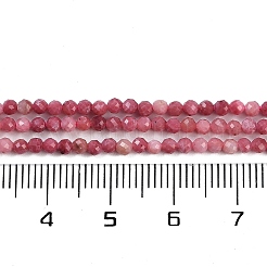 Natural Rhodonite Beads Strands&nbsp;G-P553-G06-01