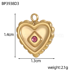 304 Stainless Steel Micro Pave Cubic Zirconia Pendants&nbsp;STAS-OY012-29G