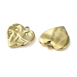 304 Stainless Steel Pendants&nbsp;STAS-H185-03G