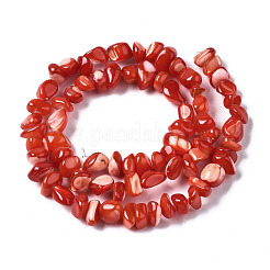 Natural Trochid Shell/Trochus Shell Bead Strands&nbsp;SSHEL-N034-78-C04