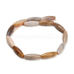 Natural Fossil Coral Beads Strands&nbsp;GG-CBA362F-03