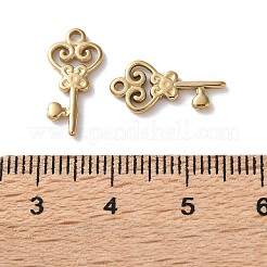 304 Stainless Steel Pendants&nbsp;STAS-L022-555G