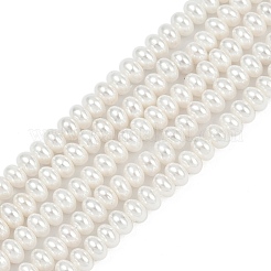 Electroplated Shell Pearl Beads Strands&nbsp;BSHE-Z009-11