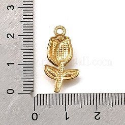 304 Stainless Steel Pendants&nbsp;STAS-C122-14G