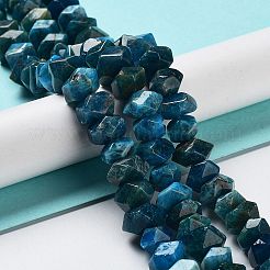 Natural Apatite Beads Strands&nbsp;G-D091-A09