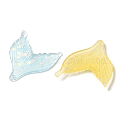 Transparent Resin Pendants&nbsp;FIND-Q092-02