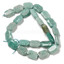 Natural Amazonite Beads Strands&nbsp;G-P544-B09-01