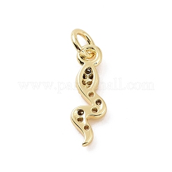 Brass Micro Pave Cubic Zirconia Charms&nbsp;KK-C012-27G