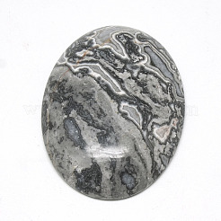 Natural Black Silk Stone/Netstone Cabochons&nbsp;G-R004-15A