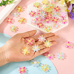 60Pcs 6 Colors Transparent Resin Flower Cabochons&nbsp;RESI-TA0004-79