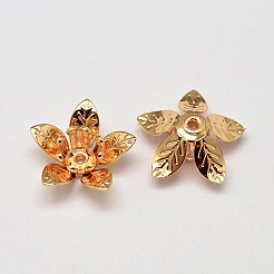 5-Petal Flower Brass Bead Caps&nbsp;KK-L137-08G-NR