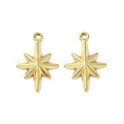 304 Stainless Steel Pendants&nbsp;STAS-L269-047G