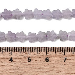 Natural Lepidolite/Purple Mica Stone Beads Strands&nbsp;G-B138-C18-01
