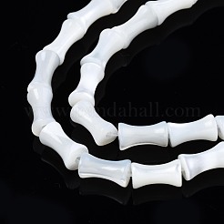 Natural Trochid Shell/Trochus Shell Beads Strands&nbsp;SSHEL-N034-93-B01