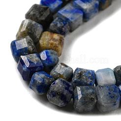Natural Lapis Lazuli Beads Strands&nbsp;G-C052-05A