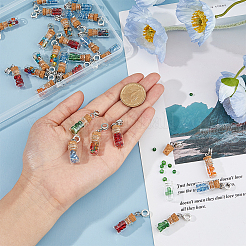 30Pcs Glass Bottle with Glass Seed Beads European Dangle Charms&nbsp;PALLOY-FI0001-02