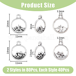 80Pcs 2 Styles Alloy Charms&nbsp;FIND-DC0004-27