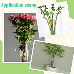 Iron Plant Supports&nbsp;FIND-WH0436-64
