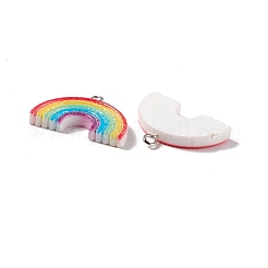 Opaque Resin Pendants&nbsp;RESI-G040-D01-B