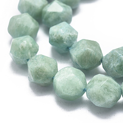 Natural Amazonite Beads Strands&nbsp;G-K303-B11-10mm