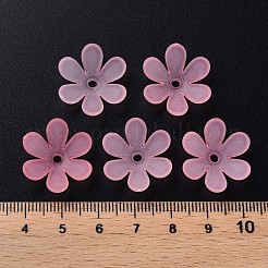 Transparent Acrylic Beads&nbsp;MACR-S373-107-D05