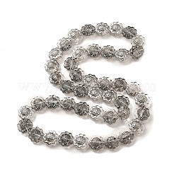 Transparent Electroplate Glass Beads Strands&nbsp;GLAA-G098-04