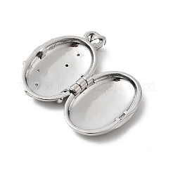 Brass Micro Pave Clear Cubic Zirconia Locket Pendants&nbsp;X-KK-L262-07P