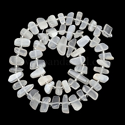 Natural White Moonstone Beads Strands&nbsp;G-L657-E02-01