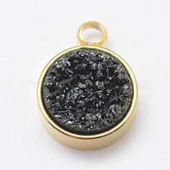 Electroplated Natural Druzy Agate Charms&nbsp;G-P321-04G
