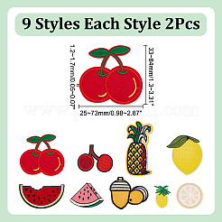 Fruit Computerized Embroidery Cloth Iron on/Sew on Patches&nbsp;DIY-WH0656-32