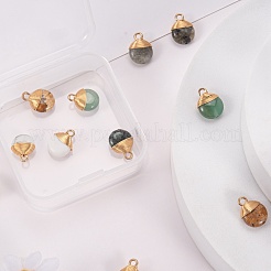 10Pcs 5 Style Natural Gemstone Pendants&nbsp;G-LS0002-08