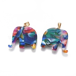 Resin Pendants&nbsp;X-KK-G361-01G