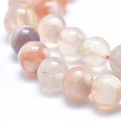 Natural Cherry Blossom Agate Beads Strands&nbsp;G-I213-23-8mm
